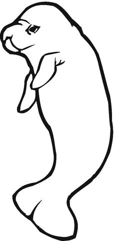 Manatee  Coloring Page